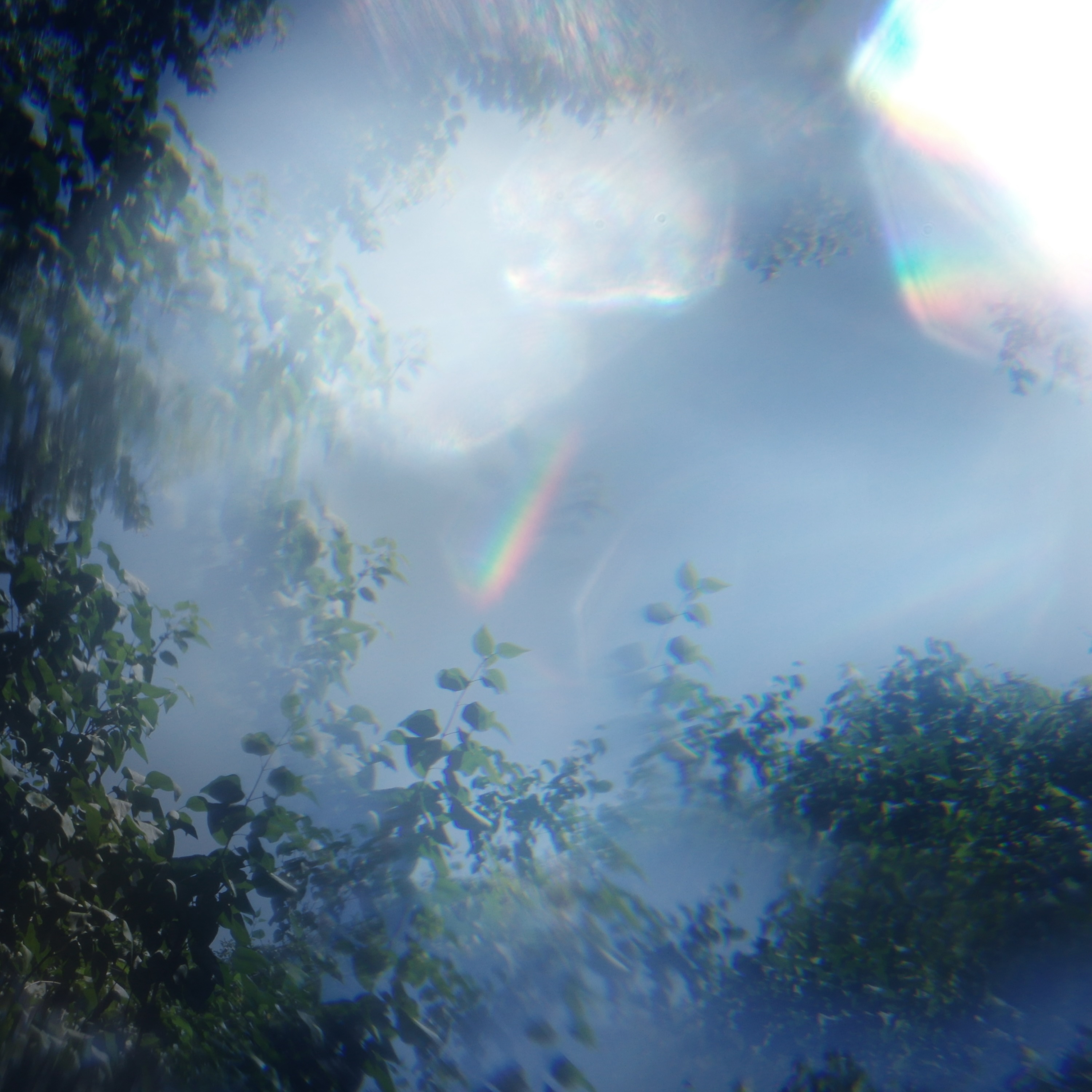 nothere_cover